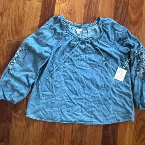 LC Lauren Conrad Blue Blouse with Embroidery - Picture 7 of 9